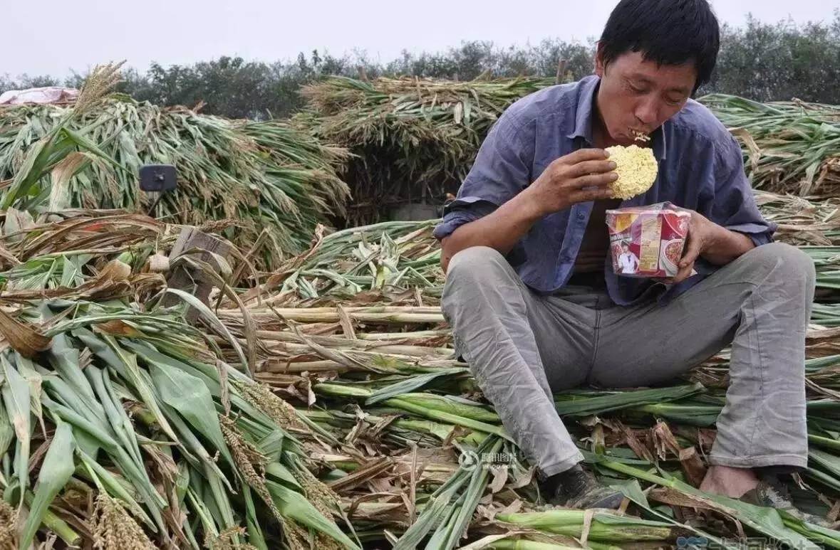 1495342288888864.jpg 微信图片_20170521125119.jpg