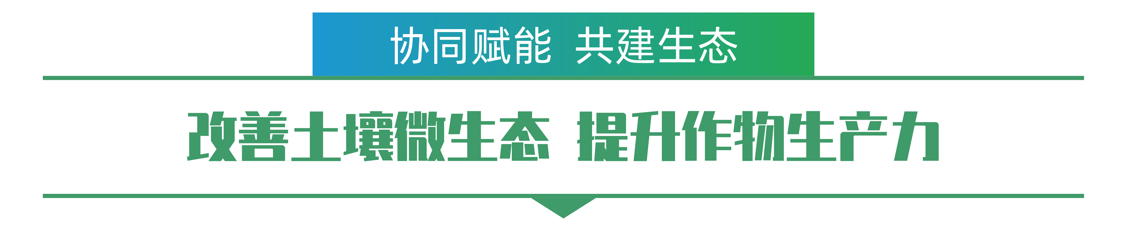 1702259176360674.png 赵钢勇-01.png