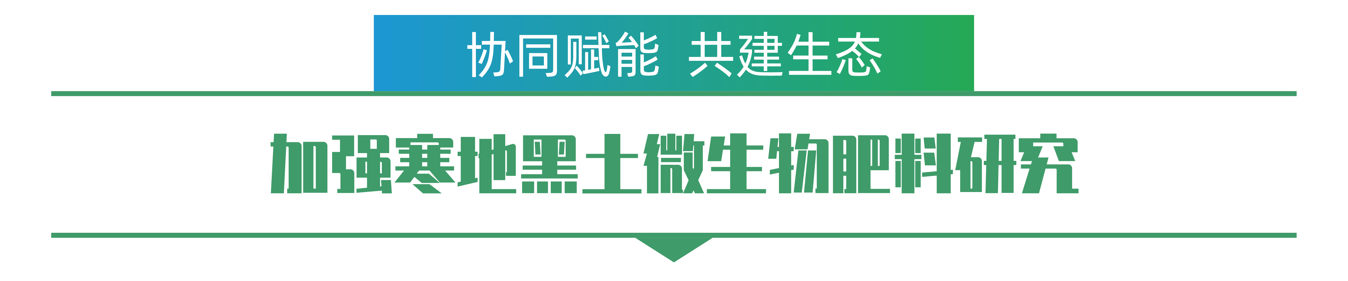1702259262300238.png 王佳龙-01.png