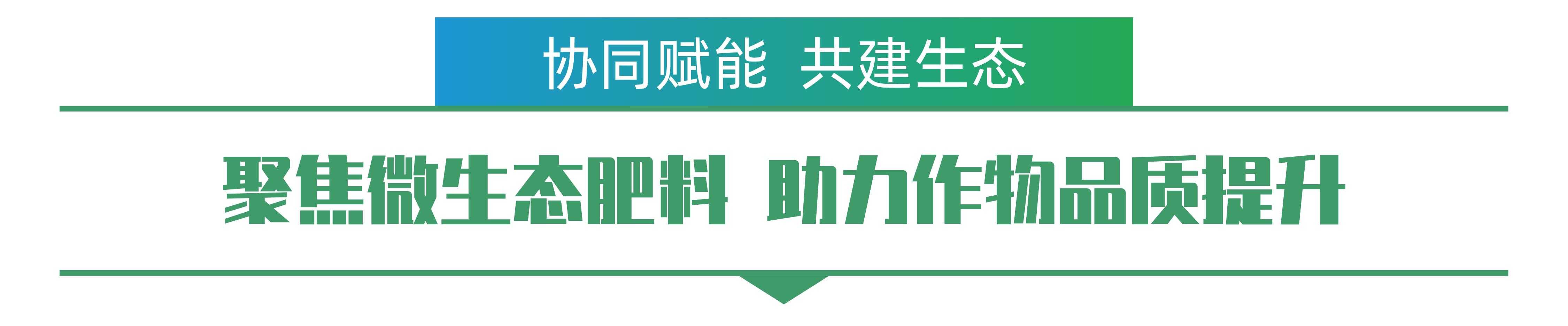 1702259309854289.png 韩志文-01.png
